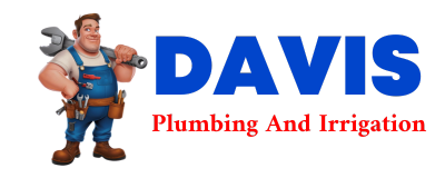 Trusted plumber in BORING